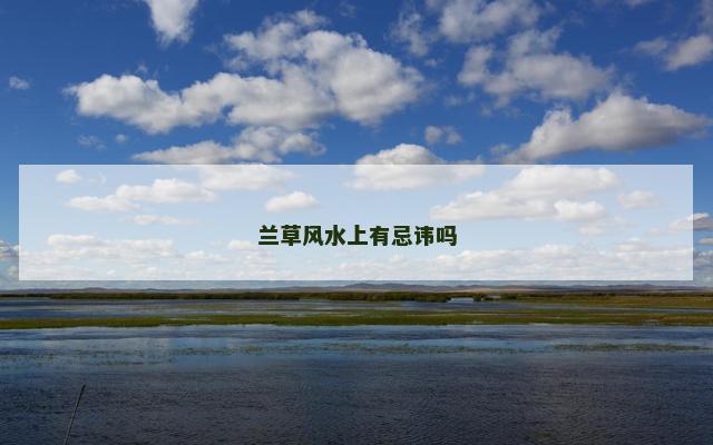 兰草风水上有忌讳吗