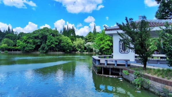 什么是奸门