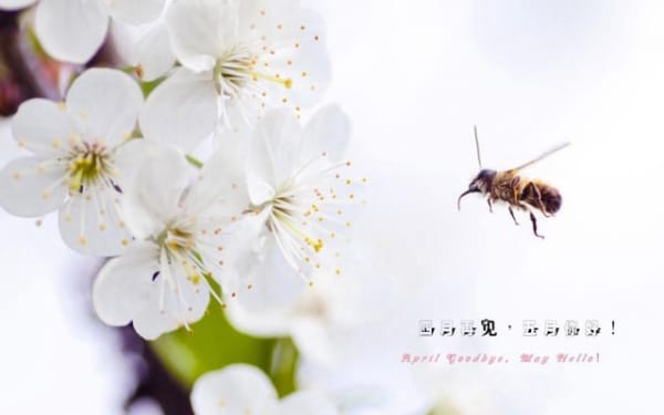 从面相上看会不会破财