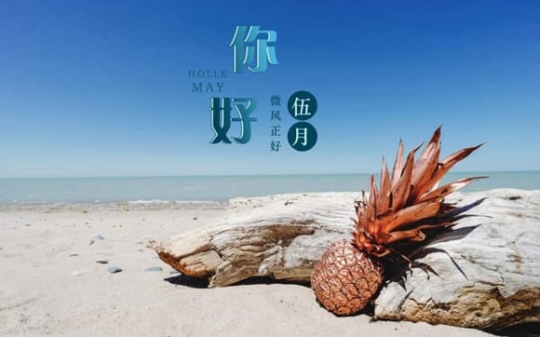 智慧线分叉代表什么