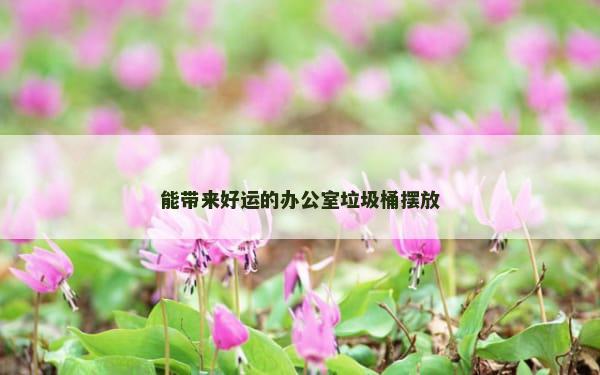 能带来好运的办公室垃圾桶摆放