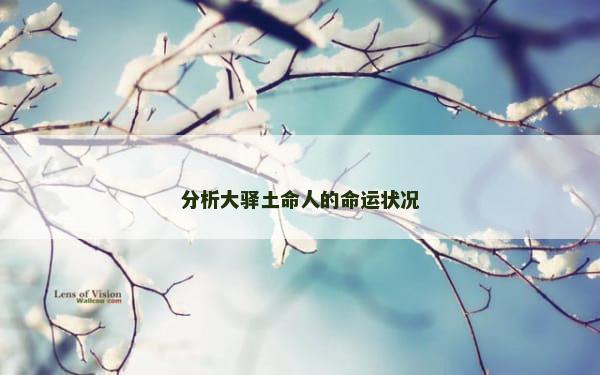 分析大驿土命人的命运状况