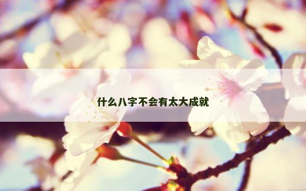 什么八字不会有太大成就