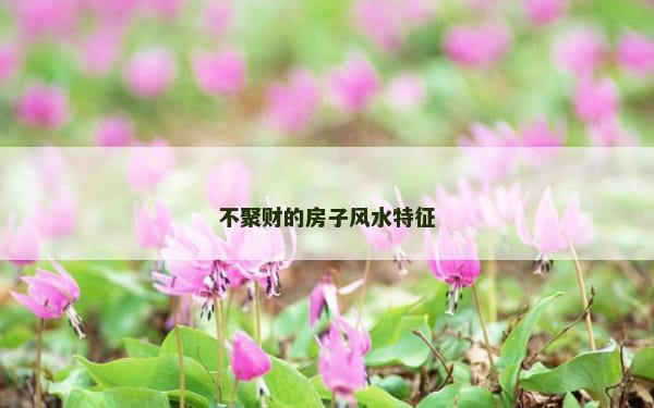 不聚财的房子风水特征