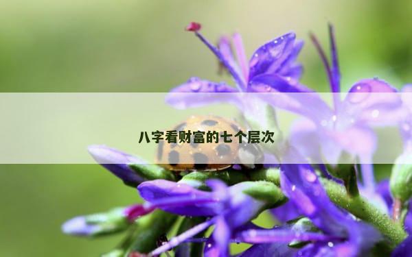 八字看财富的七个层次