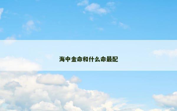 海中金命和什么命最配