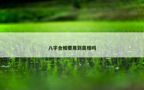 八字合婚要用到属相吗