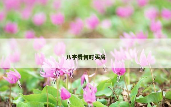 八字看何时买房
