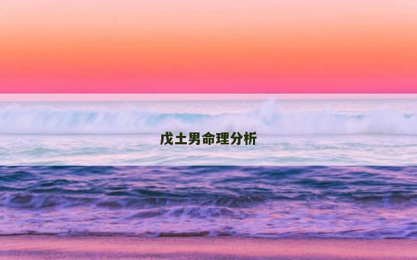 戊土男命理分析