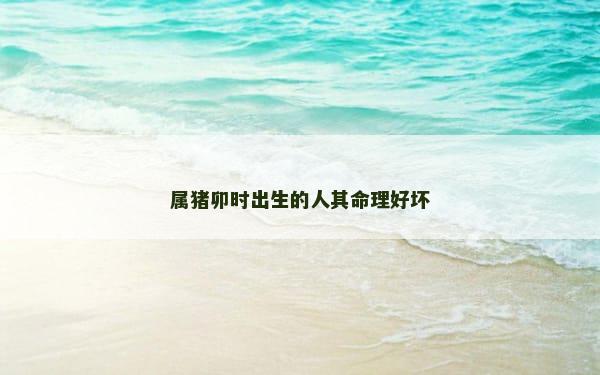 属猪卯时出生的人其命理好坏