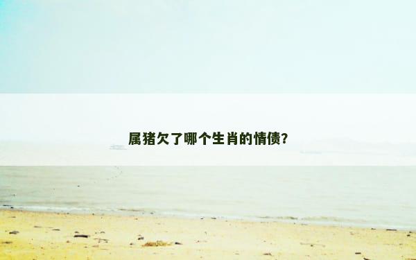 属猪欠了哪个生肖的情债？