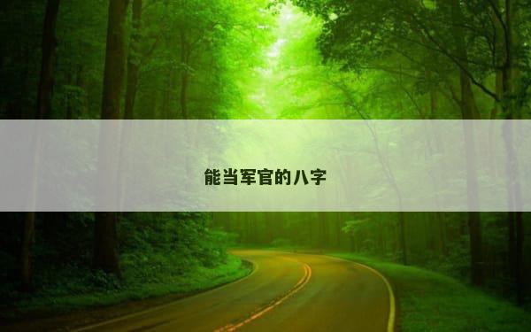 能当军官的八字