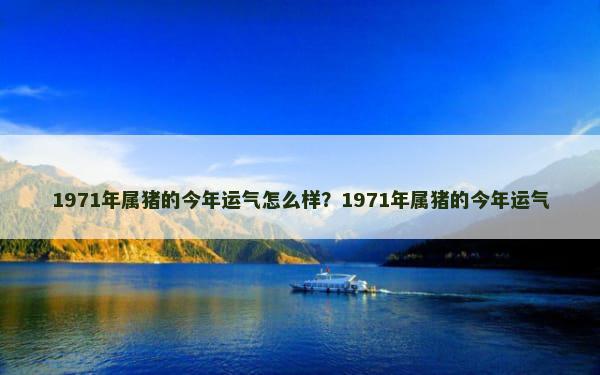 1971年属猪的今年运气怎么样？1971年属猪的今年运气