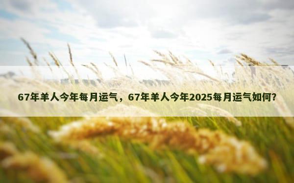 67年羊人今年每月运气,67年羊人今年2025每月运气如何? 67年羊人今年每月运气,67年羊人今年2025每月运气如何?