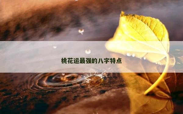 桃花运最强的八字特点