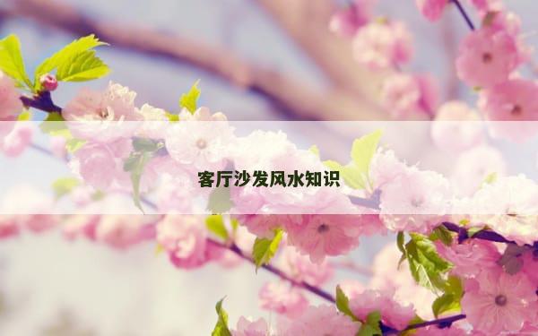 客厅沙发风水知识