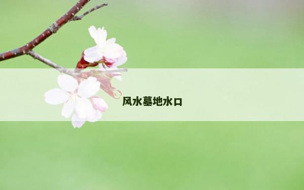 风水墓地水口