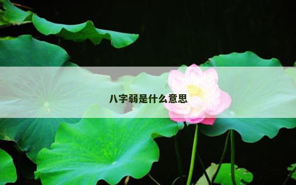 八字弱是什么意思