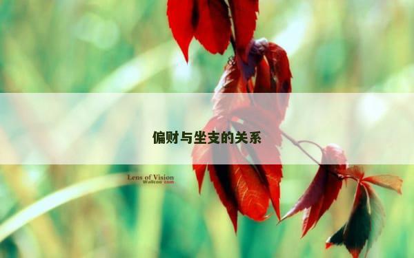 偏财与坐支的关系