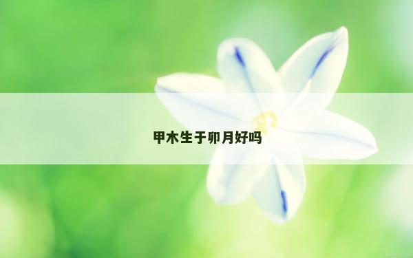 甲木生于卯月好吗