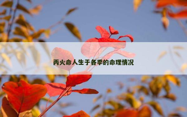 丙火命人生于各季的命理情况