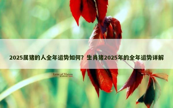 2025属猪的人全年运势如何？生肖猪2025年的全年运势详解