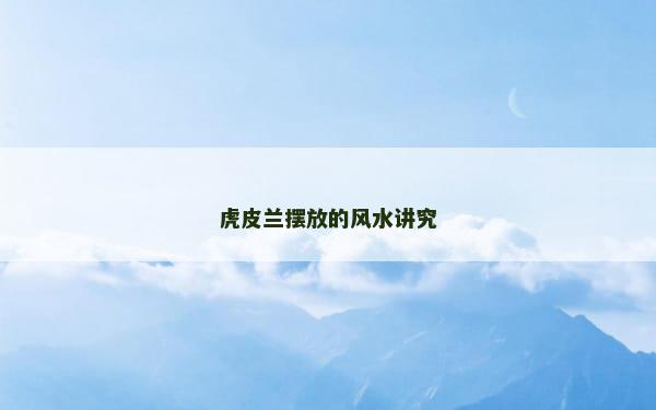 虎皮兰摆放的风水讲究