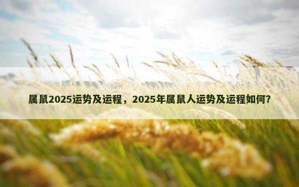 属鼠2025运势及运程，2025年属鼠人运势及运程如何？