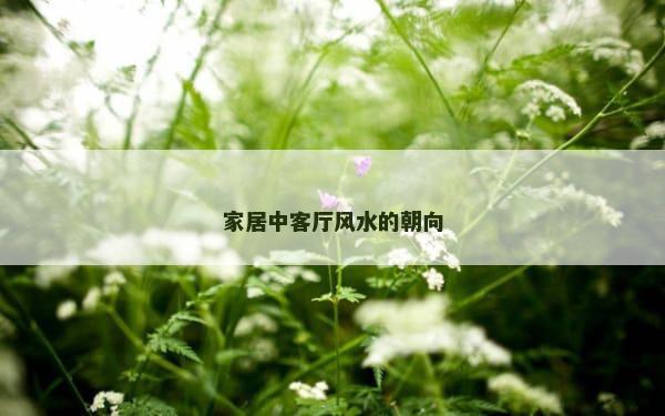 家居中客厅风水的朝向