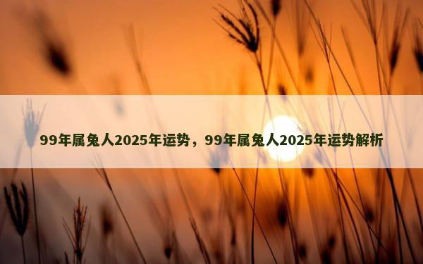 99年属兔人2025年运势，99年属兔人2025年运势解析