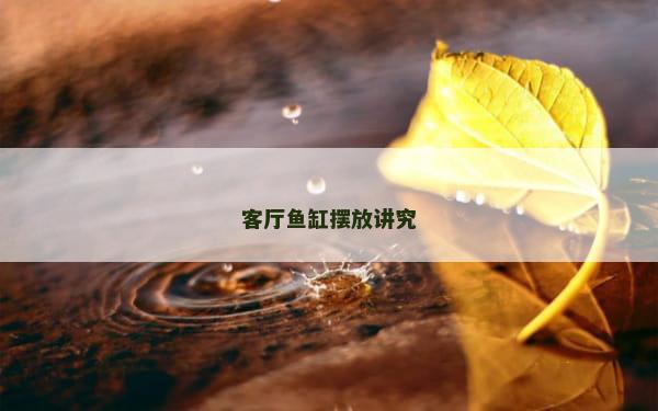 客厅鱼缸摆放讲究
