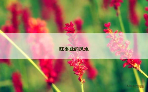 旺事业的风水