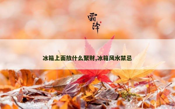 冰箱上面放什么聚财,冰箱风水禁忌