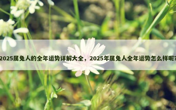 2025属兔人的全年运势详解大全，2025年属兔人全年运势怎么样呢？