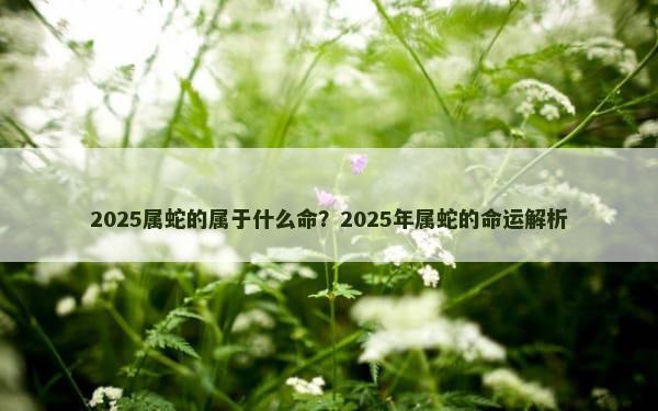 2025属蛇的属于什么命？2025年属蛇的命运解析