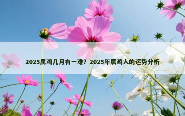 2025属鸡几月有一难？2025年属鸡人的运势分析