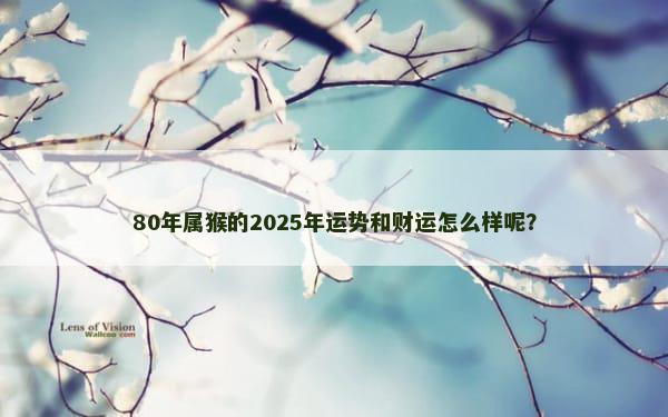 80年属猴的2025年运势和财运怎么样呢？