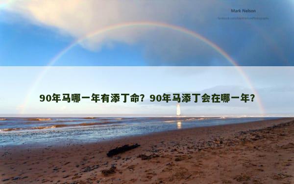 90年马哪一年有添丁命？90年马添丁会在哪一年？
