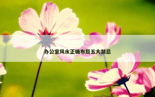 办公室风水正确布局五大禁忌