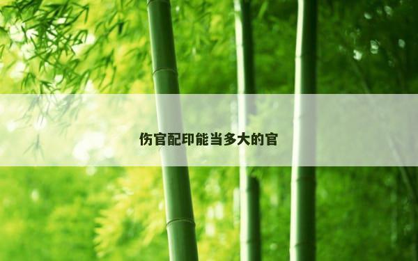伤官配印能当多大的官
