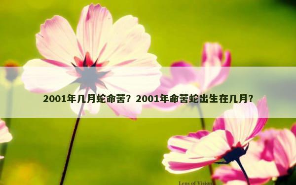 2001年几月蛇命苦？2001年命苦蛇出生在几月？