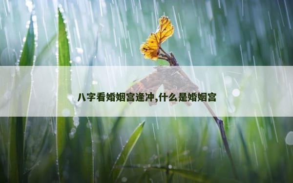 八字看婚姻宫逢冲,什么是婚姻宫