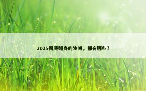2025彻底翻身的生肖，都有哪些？