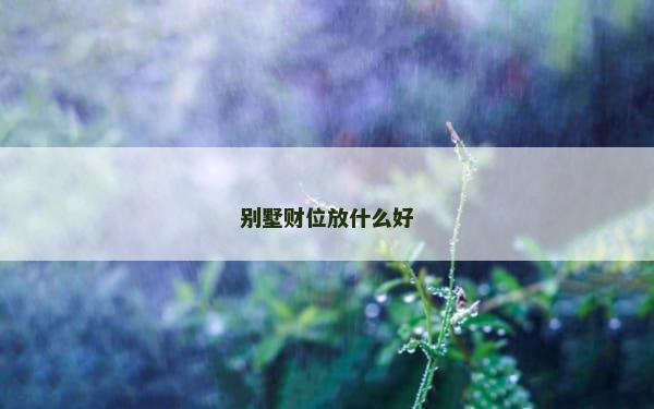 别墅财位放什么好