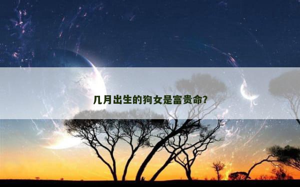 几月出生的狗女是富贵命？