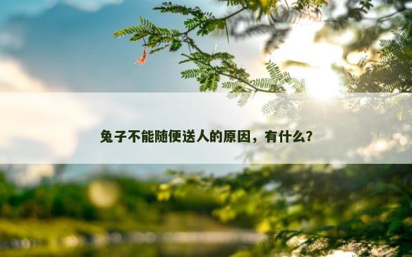 兔子不能随便送人的原因，有什么？