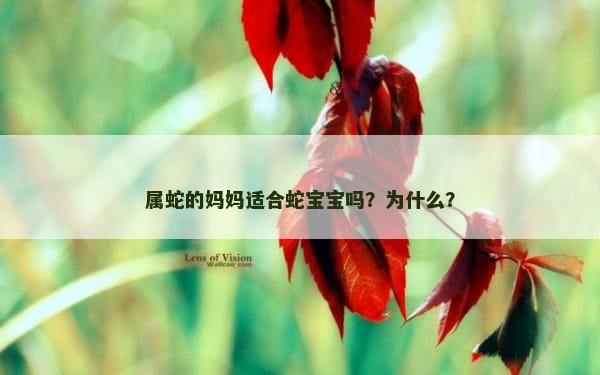 属蛇的妈妈适合蛇宝宝吗？为什么？