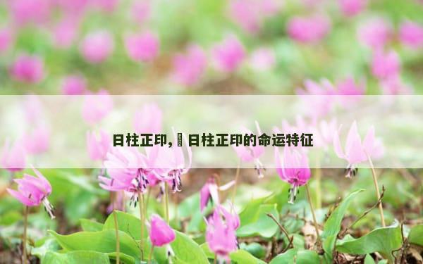 日柱正印,​日柱正印的命运特征