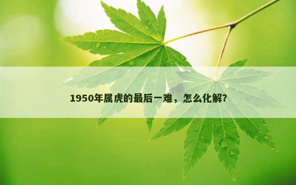 1950年属虎的最后一难，怎么化解？