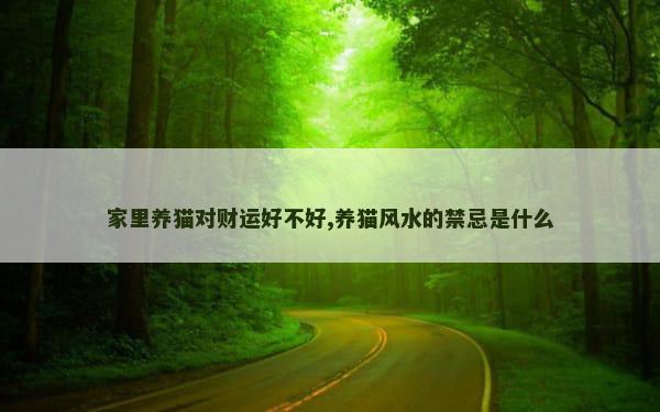 家里养猫对财运好不好,养猫风水的禁忌是什么